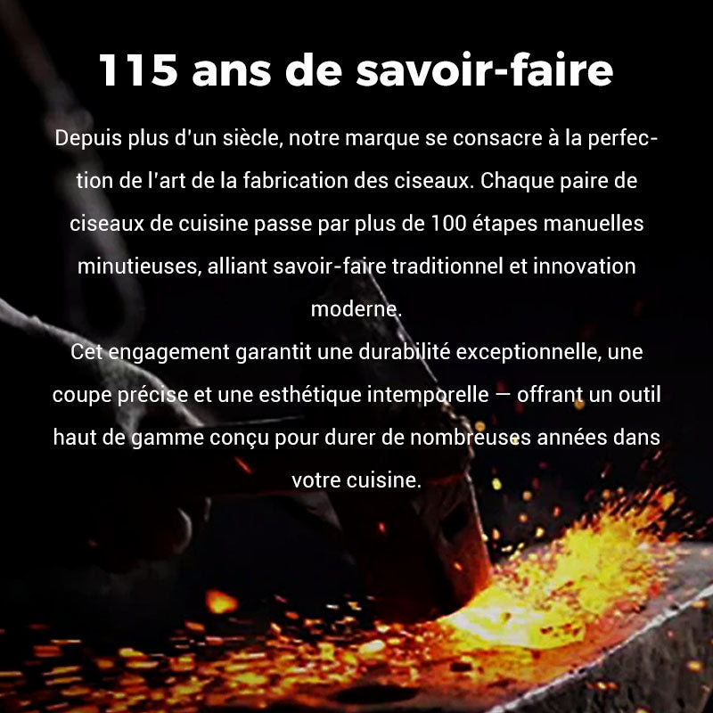 🏆💥Super Soldes: Ciseaux de Cuisine Multifonctionnels à 50 % de Réduction !