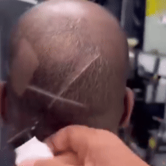 Tondeuse Professionnelle Multi-usage